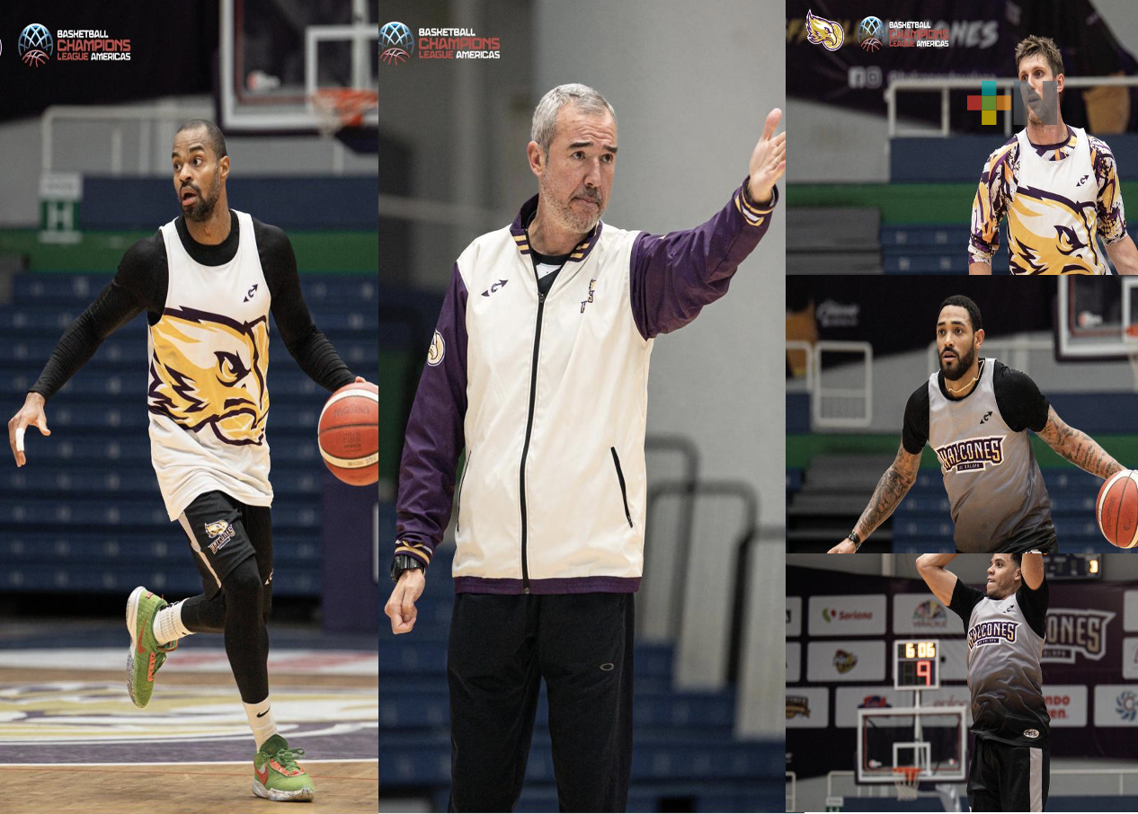 Alistan Halcones de Xalapa participación en segunda ventana de la BCLA